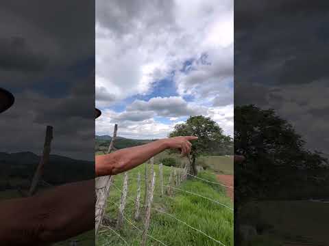 Terreno para Café, Abacate e Gado em Silvianópolis no Sul de Minas Gerais.