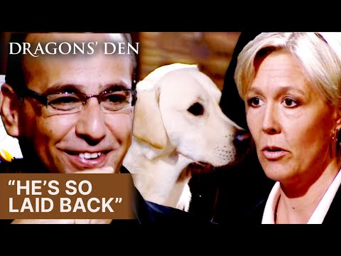 Fit Fur Life's Advanced Dog Treadmills | Dragons' Den