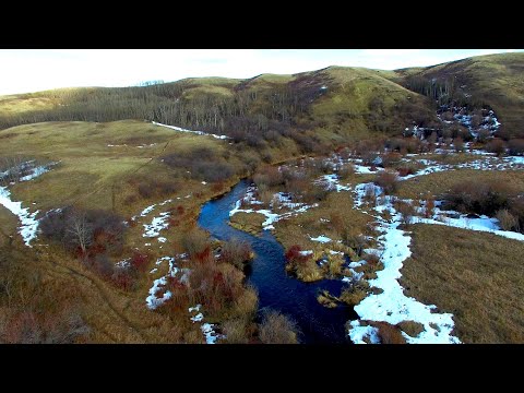 Can't Catch Brown Trout? Try This Technique!