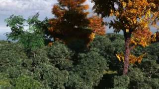 Vue Wind and Ecosystem test.