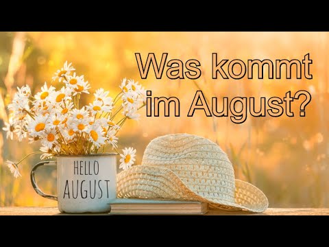 BLITZBERATUNG: Was kommt im August?