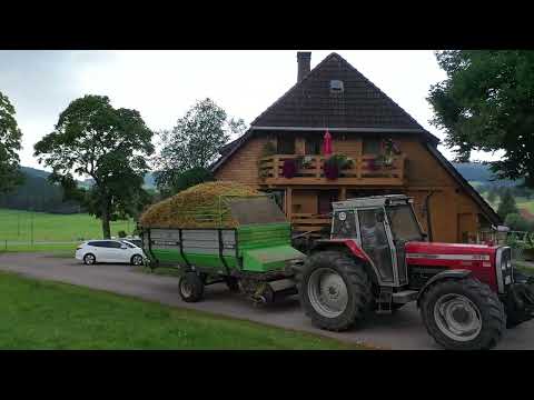 Südschwarzwälder Homestories - Erzeugergemeinschaft Schwarzwald Bio-Weiderind 🌲 - Folge 4