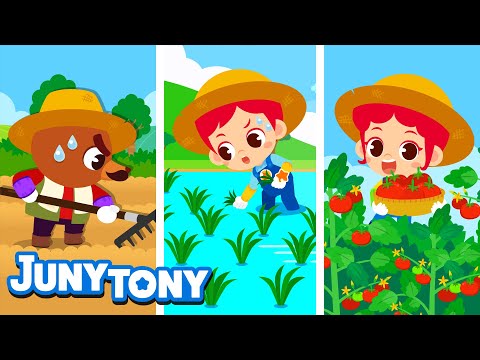 Farmer🌾 | Learn How Crops Are Grown and Harvested! | Job Songs for Kids | Preschool Songs | JunyTony