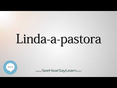 Linda a pastora (How to Pronounce Cities of the World)💬⭐🌍✅
