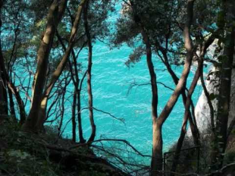 All The Perfumes Of Arabia - Stephen Rhodes