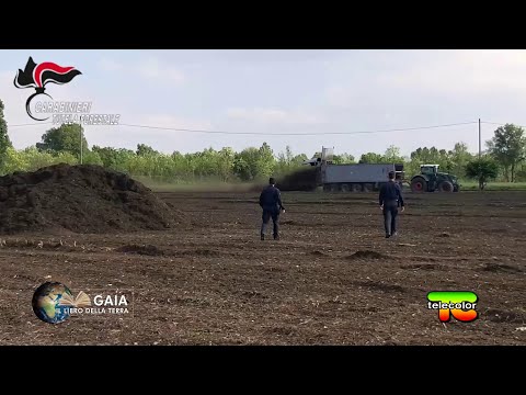 Gaia, the Earth's Book: WTE's Chalk and the Poisons on Your Plate June 10, 2021