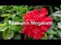 Raamanin Moganam Netrikkan EP HiRes