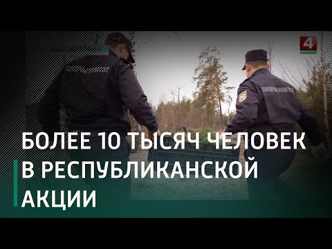 Супрацоўнікі УСК па Гомельскай вобласці пасадзілі 8 000 саджанцаў бярозы і хвоі видео