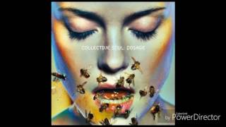 Wasting time- Collective Soul Subtitulado