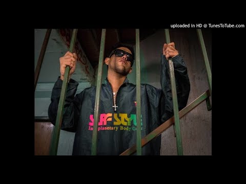 HOMER EL MERO MERO • TRAPICHEO