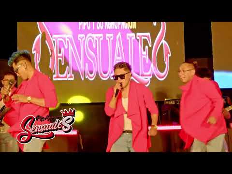 PIPO Y SU AGRUPACION LOS CHICOS SENSUALES:Tema: Mix Ronich (2024)