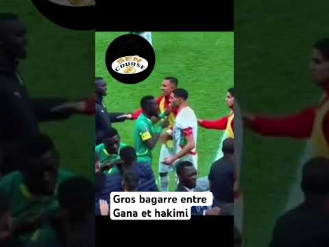 Bagarre Gana gueye et Hakimi #horse #courseshippiques #dothingsyoudontwanttodo #cheval
