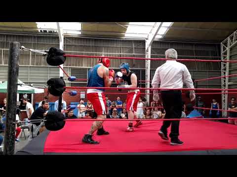 Boxeo - White Collar - Guillermo Peralta