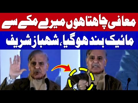 میں معافی چاہتا ہوں میرے مکے سے مائیک بند ہوگیا، شہباز شریف