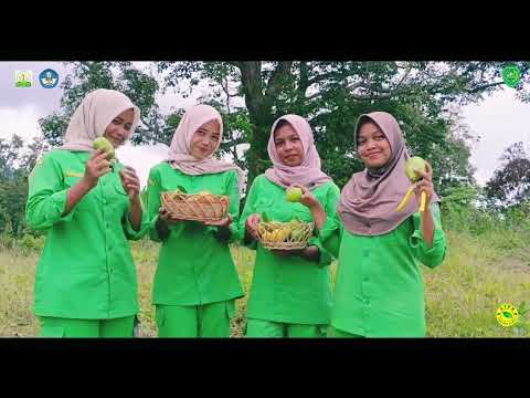 Tefa Agribisnis Tanaman Pangan dan Hortikultura