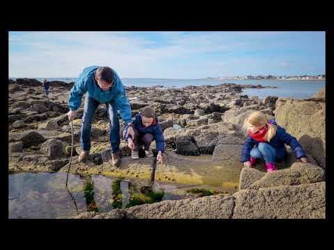 LE MOULIN DE GUERANDE de gilles SERVAT cover par jean-jacques SOUIN
