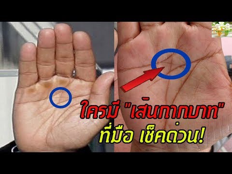 กลากบนจมูกและแก้ม กลากไม่ alergicheskaya