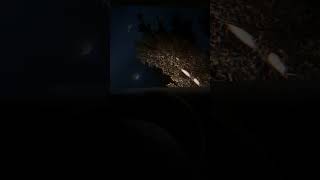 Local Ukrainian get's abducted by aliens and get's probed #Meme#gaming #gameplay#s.t.a.l.k.e.r.