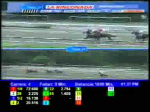 4TA CARRERA DOMINGO 06 MAYO LA RINCONADA AUDIOHIPISMO