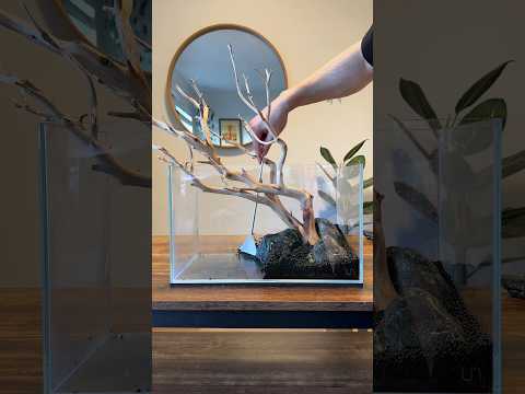 Hardscape completed 👍 #aquascaping #aquascapers #aquarium #aquascape #aquariumhobby #hardscape