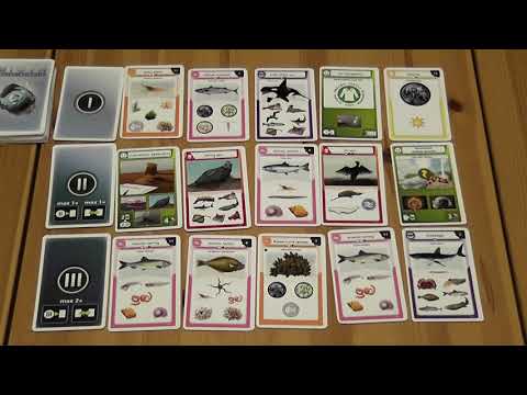 Biota North Atlantic társasjáték - stratégiai változat - d3meeples