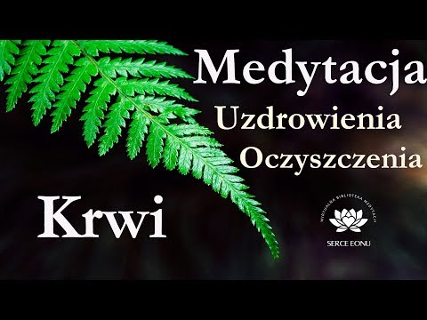 Kulturystyka trening Splicie Czy możliwe jest, aby odchylić jedną grupę mięśniową 2 razy dziennie