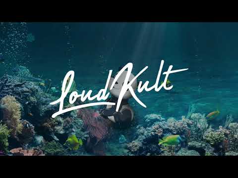 Viva La Panda - Under Water