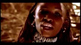 Mauro Picotto Komodo