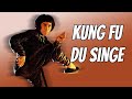 Wu Tang Collection Kung Fu Du Singe Monkey Kung Fu ENGLISH Subtitled