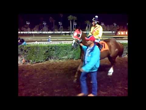 Heza Dasha Fire - Futurity - Los Alamitos