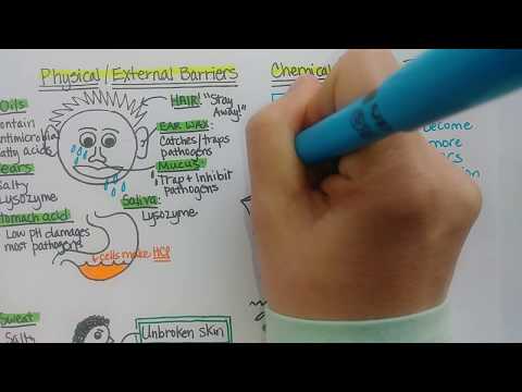 Innate Immune Defenses