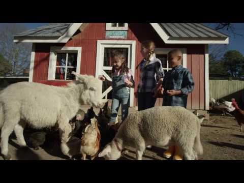 SCHLEICH FARM WORLD Triušių gardas video