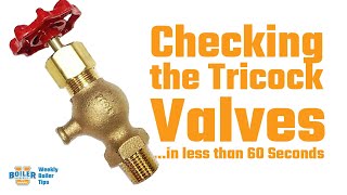 Checking the Tricock Valves...in less than 60 Seconds - Boiler Quick Tips