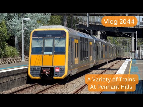 Sydney Trains Vlog 2044: A Variety of Trains at Pennant Hills