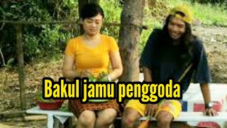 Download lagu Bakul Jamu Penggoda mp3 Download lagu Bakul Jamu Penggoda mp3