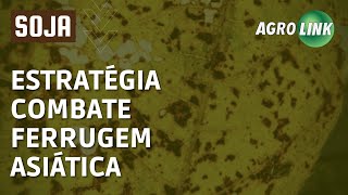 Como combater a Ferrugem Asiática