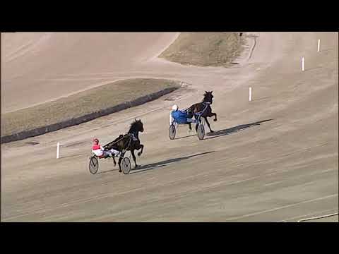 Napoli Trotto 15/09/2023 - 3ª prova di qualifica