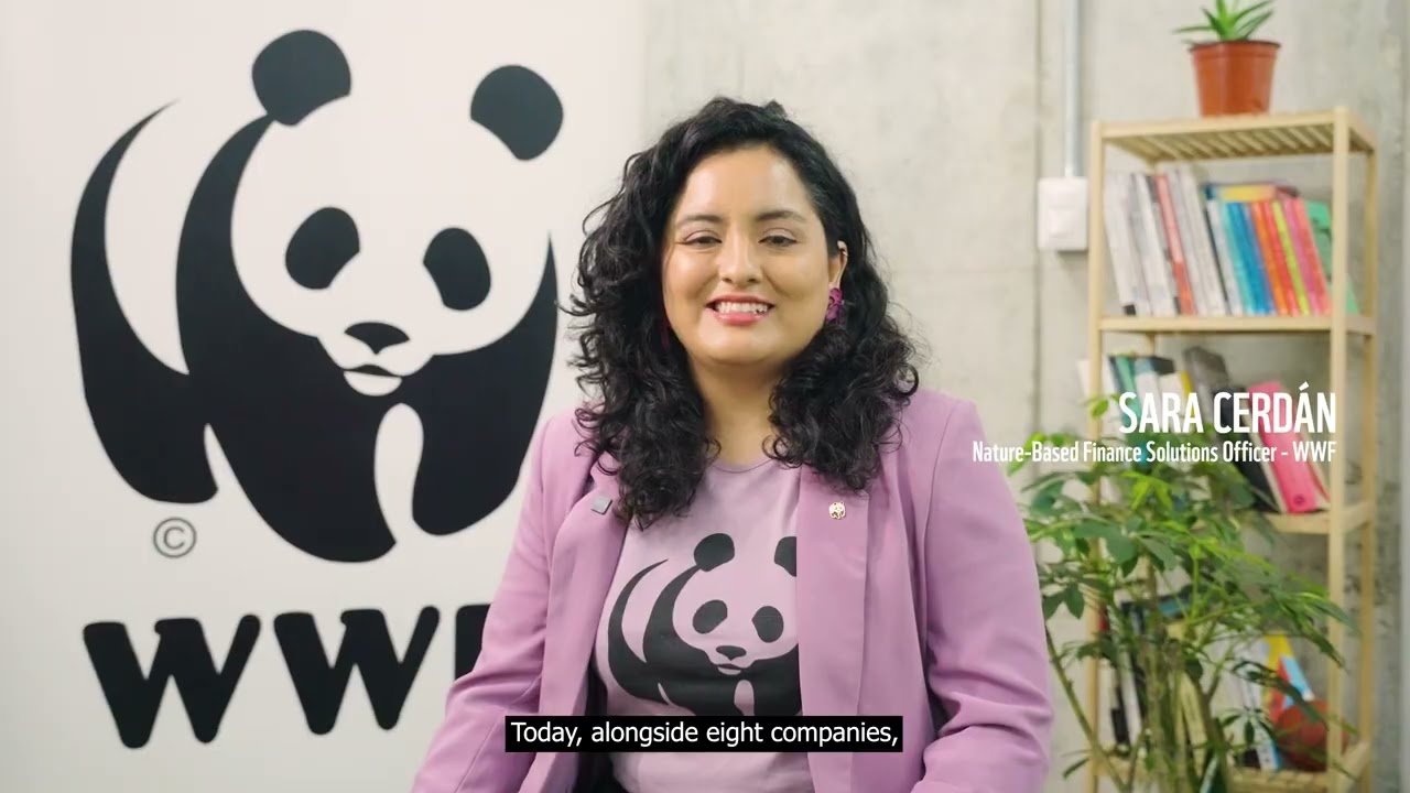 Promoting Climate Adaptation with Peru's Corporates