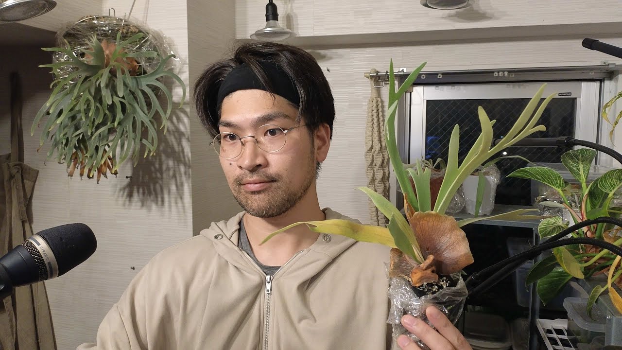 植物が寒い時に見せる特徴と栽培の質疑応答