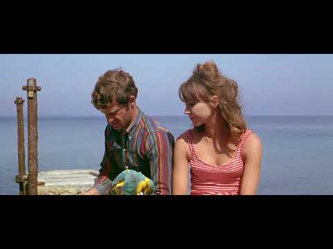 The Buttertones - Darling, I Need Time but Don't Really Know Why