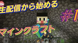 生配信から始めるMinecraft#1