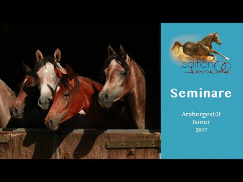 Arabergestüt Ismer 2017