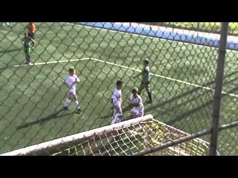 CPJ 2001 2x3 Pingo de Luz