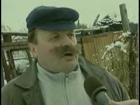 Imanta Babīte - Cukurbietes