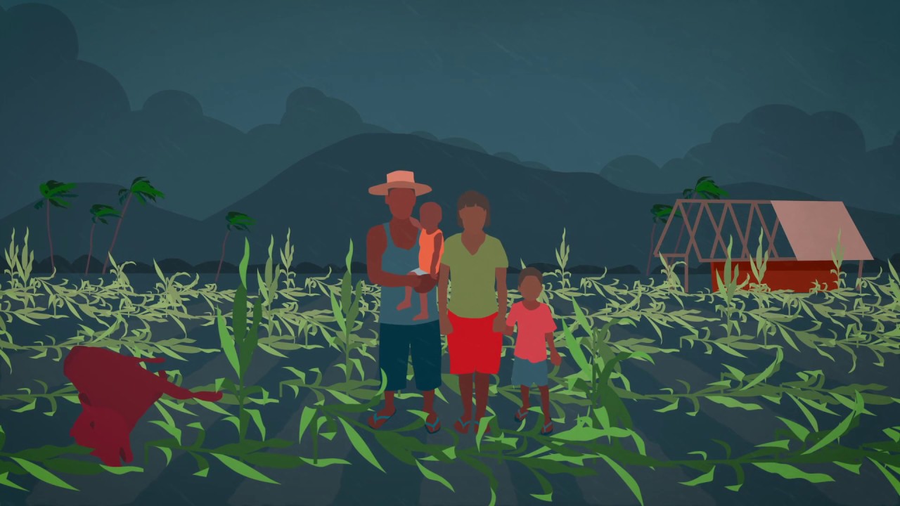 IFRC approach for Emergency Needs Assessments