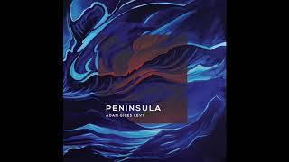 Adam Giles Levy - Last of the Light (Official Audio)