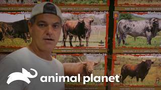 Thumbnail del capítulo