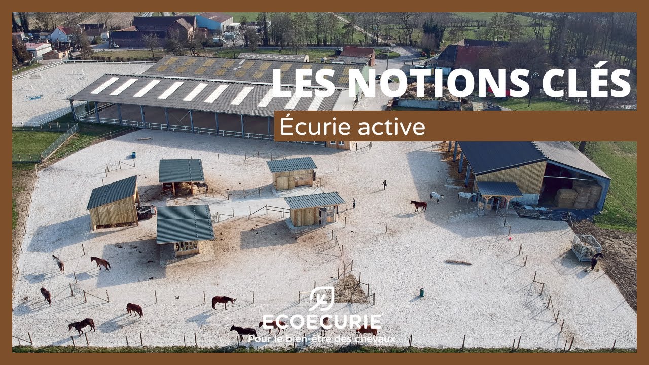 Écurie active : Quelques règles à respecter