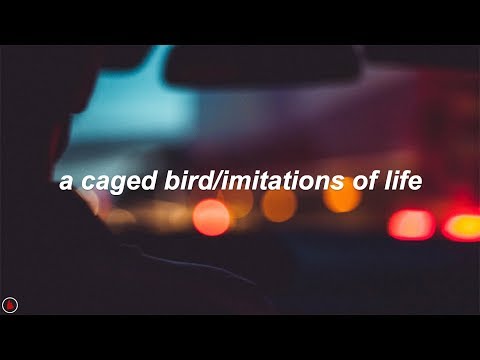 The Cinematic Orchestra - A Caged Bird/Imitations of Life (feat. Roots Manuva) (Lyrics)