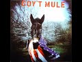 Gov't Mule - Mother Earth